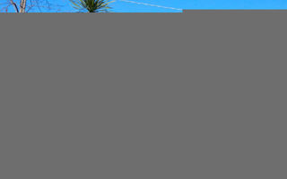 Náhled objektu Mimosa, ostrov Sicílie