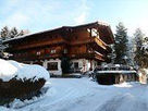Náhled objektu Hotel Pension Gratlspitz, Alpbach