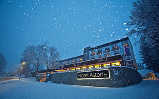 Náhled objektu Hotel Astoria, Bled