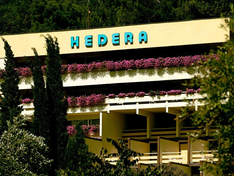 Hotel Mimosa/Hedera
