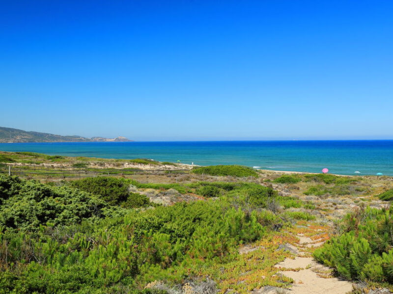 Baia Delle Mimose