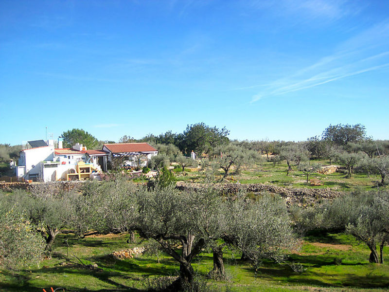 Villa Feliche