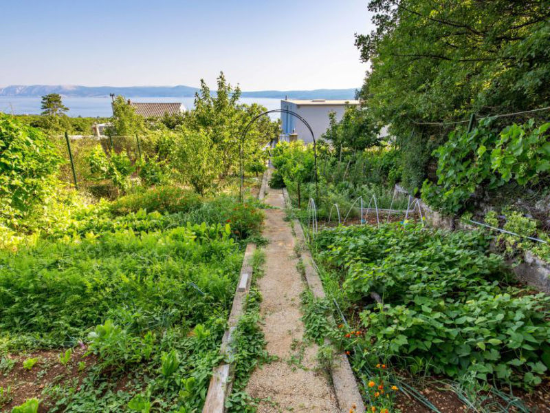 Organic Gardens Villa
