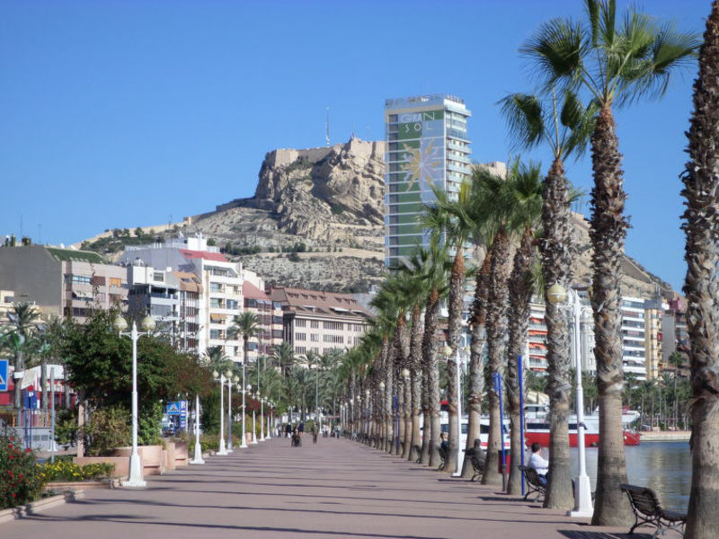 Elegant Alicante
