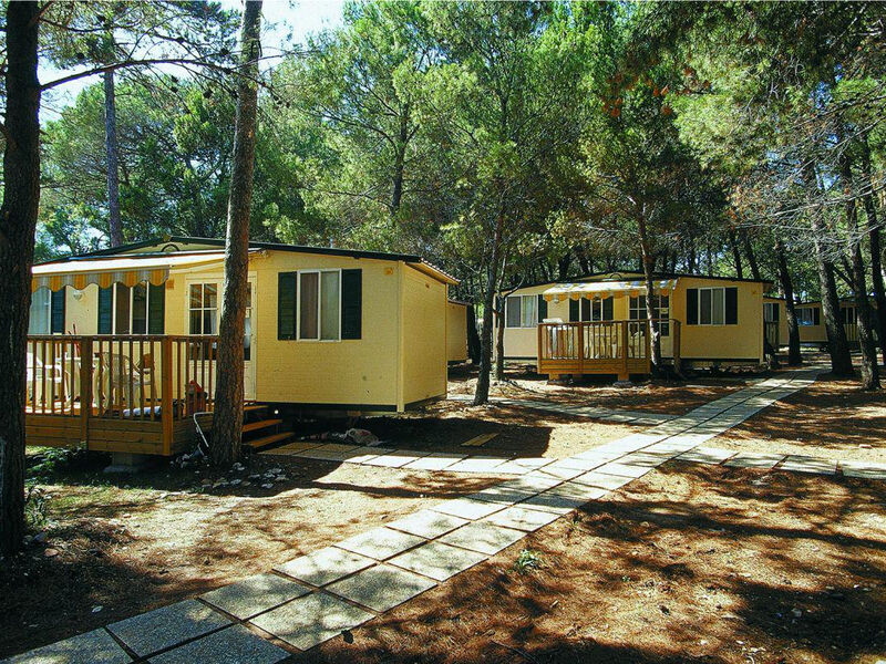 Camp Stoja
