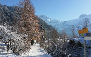 Náhled objektu Chalet Flöschhorn, Lenk im Simmental