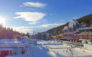 Náhled objektu Le Farinet, Crans Montana