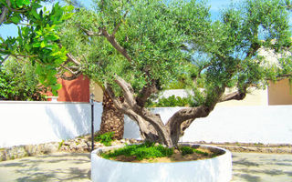 Náhled objektu Villa Margarita, Miami Platja