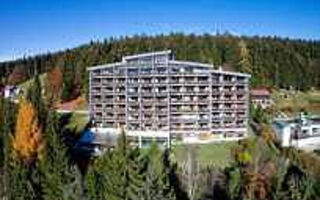 Náhled objektu Hotel Haus Bayerwald, Neureichenau