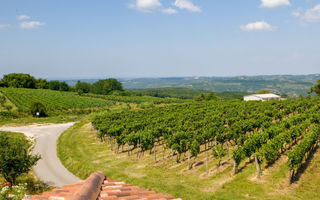 Náhled objektu Robinia, Vižinada