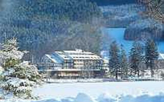 Náhled objektu Maritim TitiseeHotel, Titisee-Neustadt