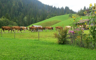 Náhled objektu Oey-Hus, Lenk im Simmental