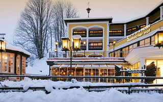 Náhled objektu Hotel Saalbacher Hof, Saalbach