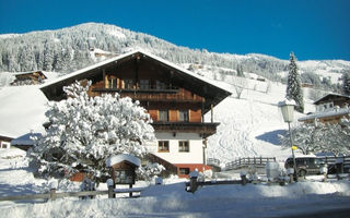 Náhled objektu Gästehaus Hummerau, Alpbach