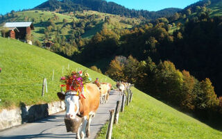 Náhled objektu Hubertus A, Interlaken