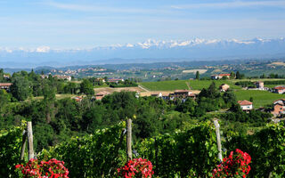 Náhled objektu Cascina Vigne, Costigliole d'Asti