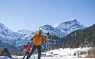 Náhled objektu Hotel Alpenland, Lauenen bei Gstaad