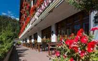 Náhled objektu Hotel Laaxerhof, Flims