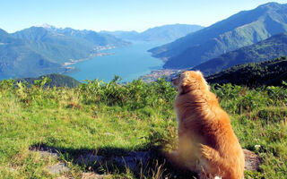 Náhled objektu Le Baite Di Bodone, Lago di Como