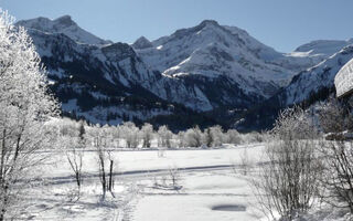 Náhled objektu Am Schilf, Gstaad