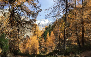 Náhled objektu Amici 1. Stock Allegra, Riederalp