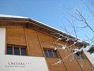 Náhled objektu Hotel Crestas, Brigels