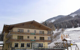 Náhled objektu Hotel Bärenbachhof, Saalbach