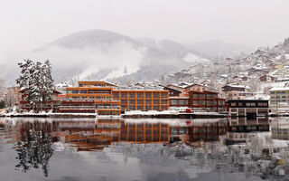 Náhled objektu Seevilla Freiberg, Zell am See