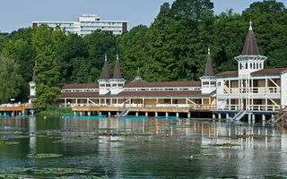 Náhled objektu Thermal Heviz Ensana Health Spa Hotel, Hevíz