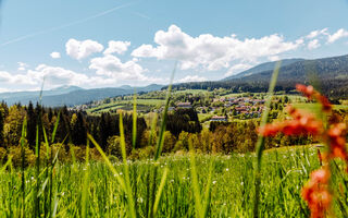 Náhled objektu Panorama Hotel Schwarzeck, Lohberg