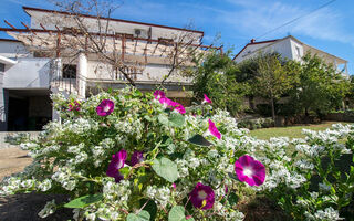 Náhled objektu Apartmány 1355-1, Starigrad a Paklenica