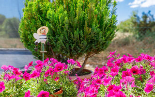 Náhled objektu Laura, Štinjan