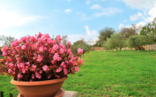 Náhled objektu Milva, Pula