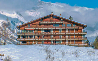 Náhled objektu Rossignol C4, Nendaz