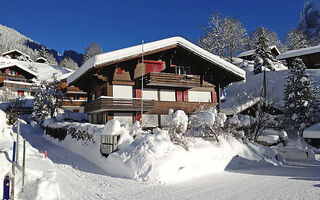 Náhled objektu Bergfink, Grindelwald