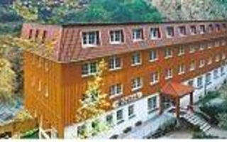Náhled objektu Waldhotel Am Ilsestein, Ilsenburg