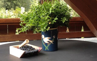 Náhled objektu Village des Oursons Chalet A4, Argentière