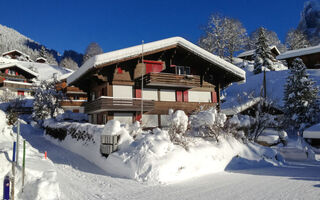 Náhled objektu Bergfink, Grindelwald