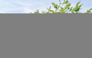 Náhled objektu Durandal, Arcachon