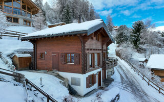 Náhled objektu Petit Nid, Nendaz