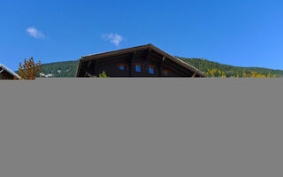 Náhled objektu Ferienhaus Godo, Riederalp