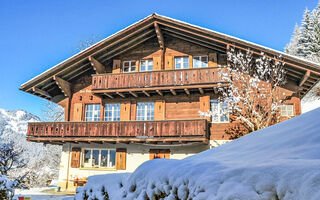 Náhled objektu Drei Tannen, Wengen