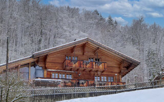 Náhled objektu Boden 19, Brienz