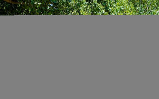 Náhled objektu Baia Holiday Gasparina 3*, Lago di Garda