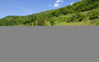 Náhled objektu Il Castagneto, Rufina