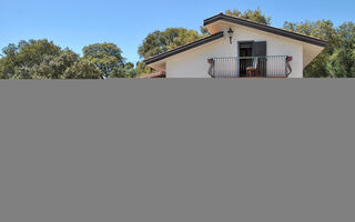 Náhled objektu Cycas, Itri