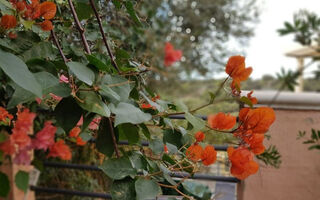 Náhled objektu Su Niu Crobu, ostrov Sardinie
