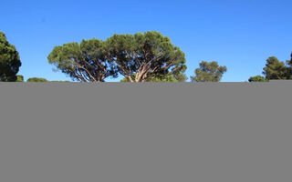 Náhled objektu Piverd 1g, Pals