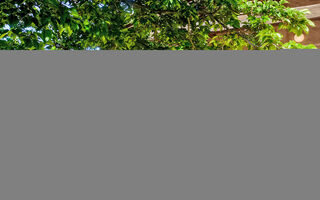 Náhled objektu Roumagnac, Cavalaire