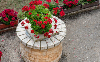 Náhled objektu Wohnung a, Fažana